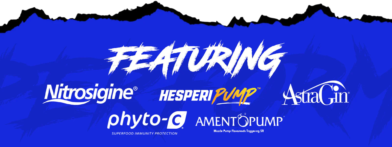 Performax Labs VasoMax Grand Pre Non-Stim Pre Workout Pump Powder