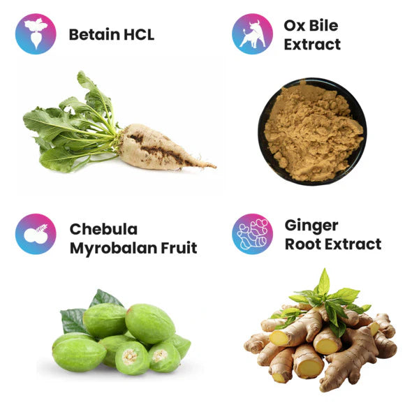 Project AD: Ravenous