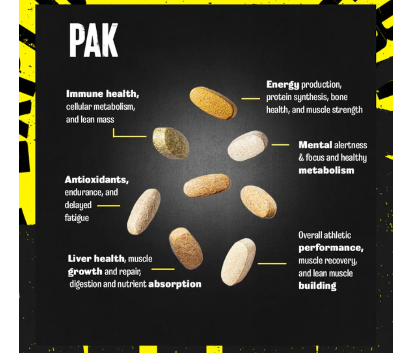 Animal Park Ultimate Training Pack: Multivitamin For Men (30 Packs)