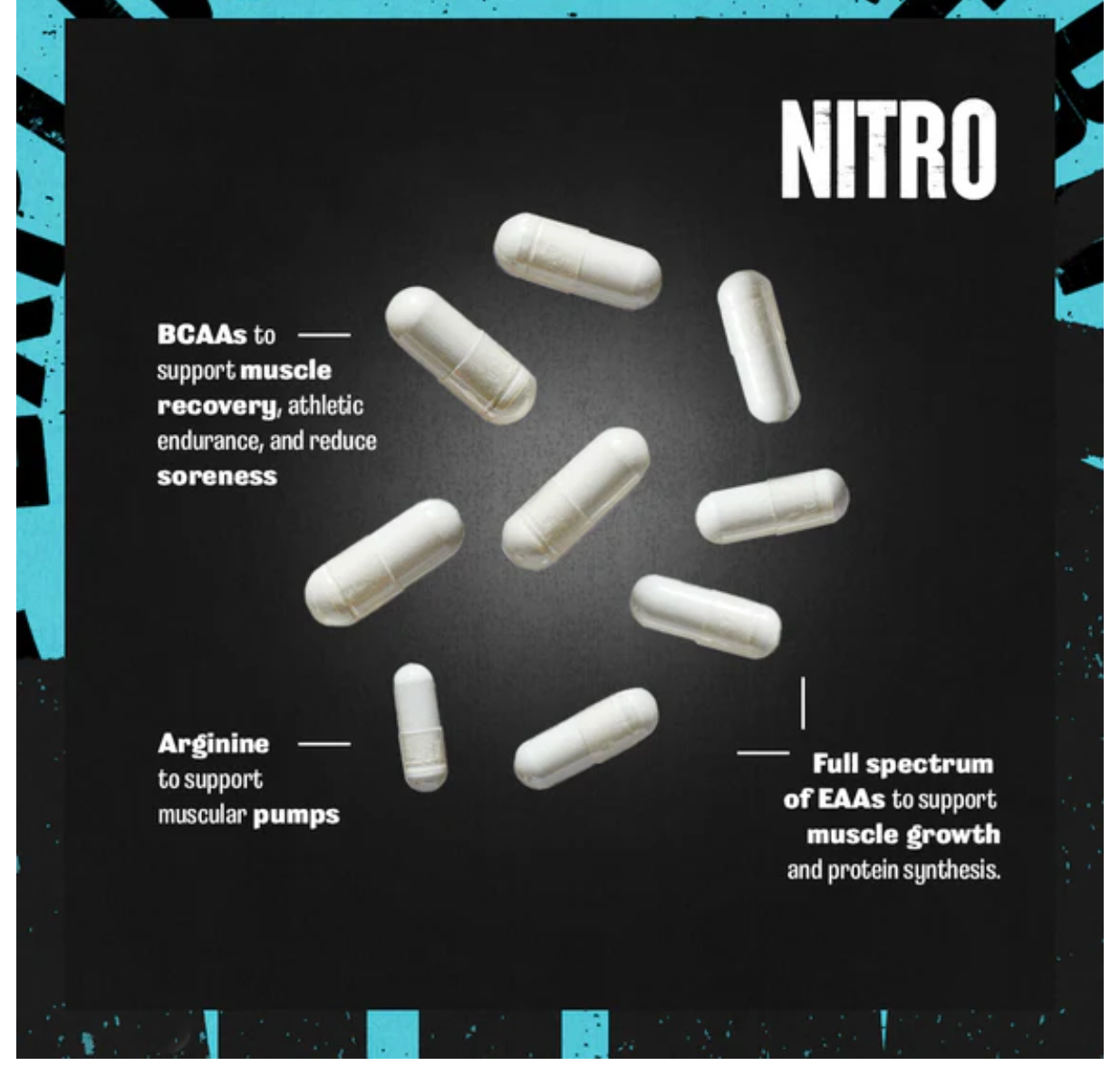 Animal Nitro Amino Acid Pill Packs: EAA BCAA Supplements (44 Packs)
