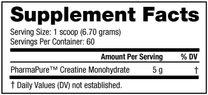 NutraBio Creatine Burst