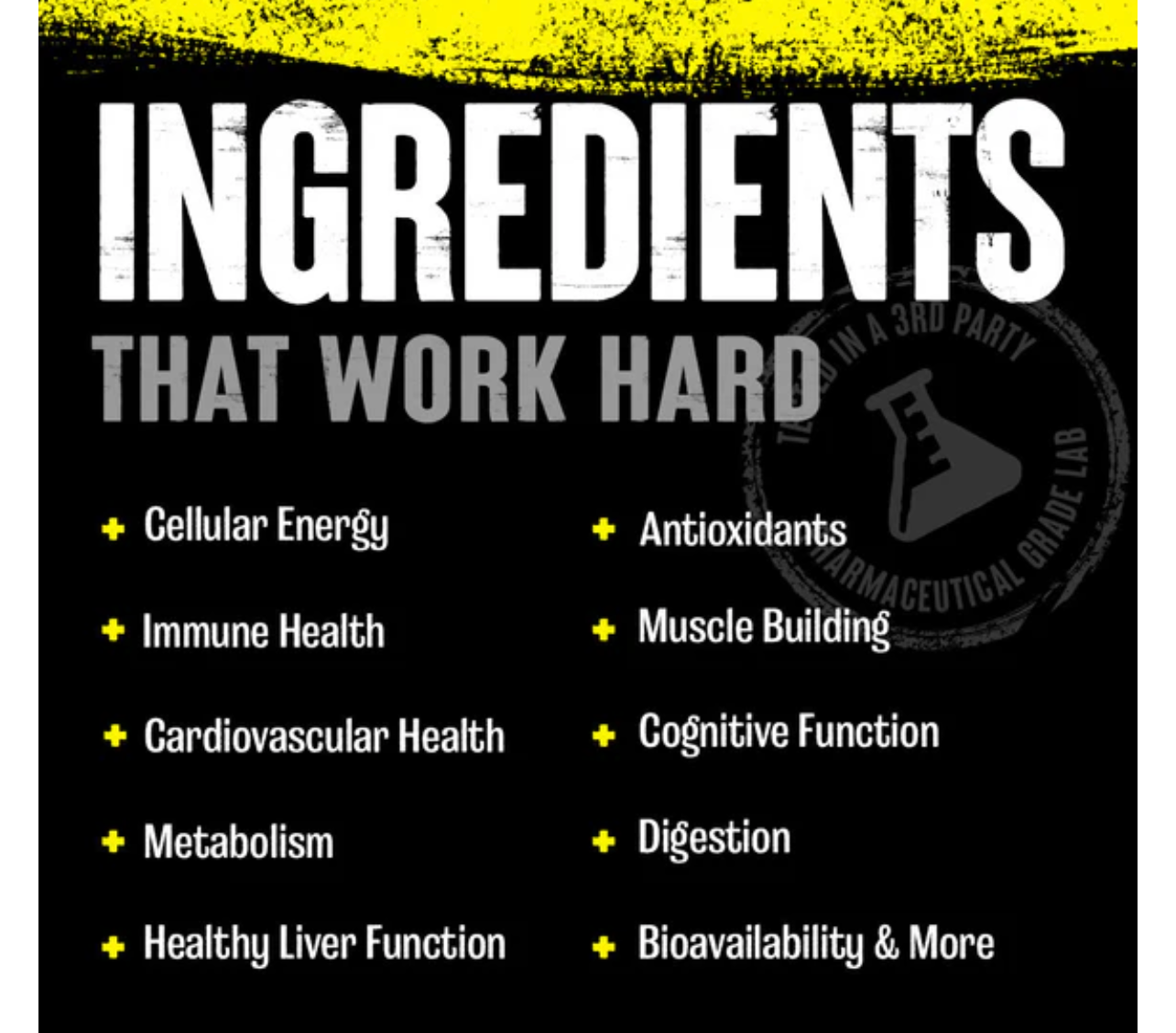 Animal Park Ultimate Training Pack: Multivitamin For Men  (30 Packs)