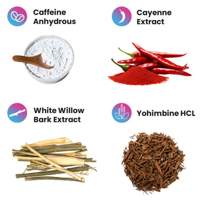 Project AD: Shredabull Untamed 2.0